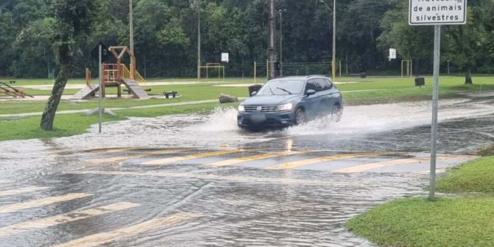 O cenário faz parte de uma função importante dos parques: conter a água da chuva e drená-la para evitar que chegue às áreas residenciais