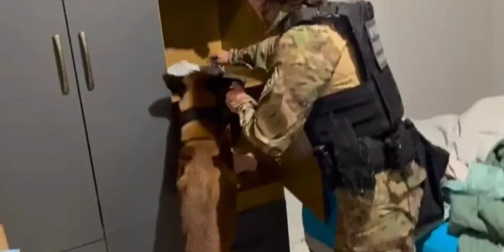 A ofensiva reúne cerca de 210 policiais, além de cães de faro e helicópteros das duas corporações