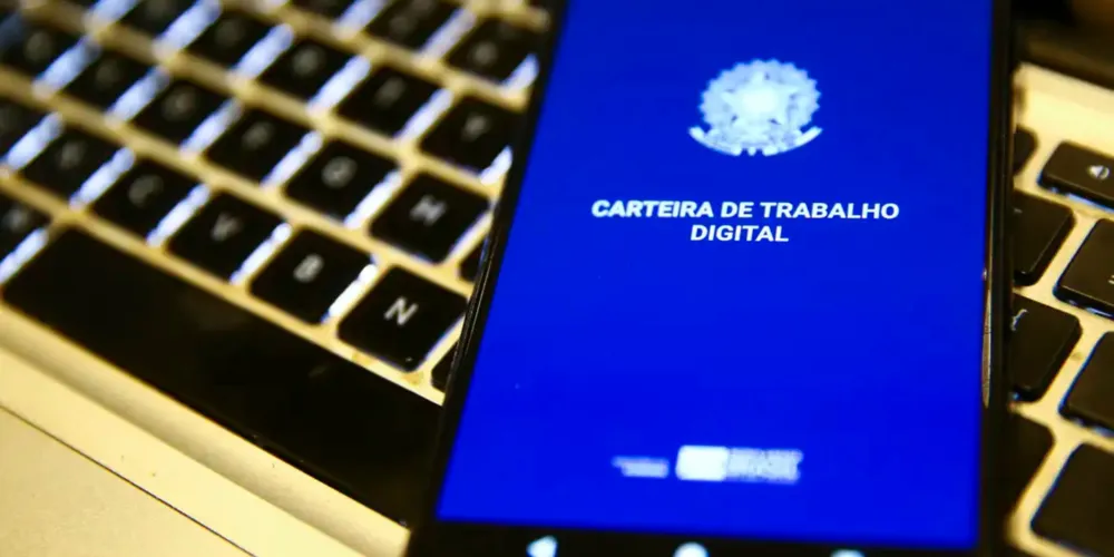 Os dados fazem parte da Pesquisa Nacional por Amostra de Domicílios (Pnad) Contínua, divulgada nesta terça-feira (29)