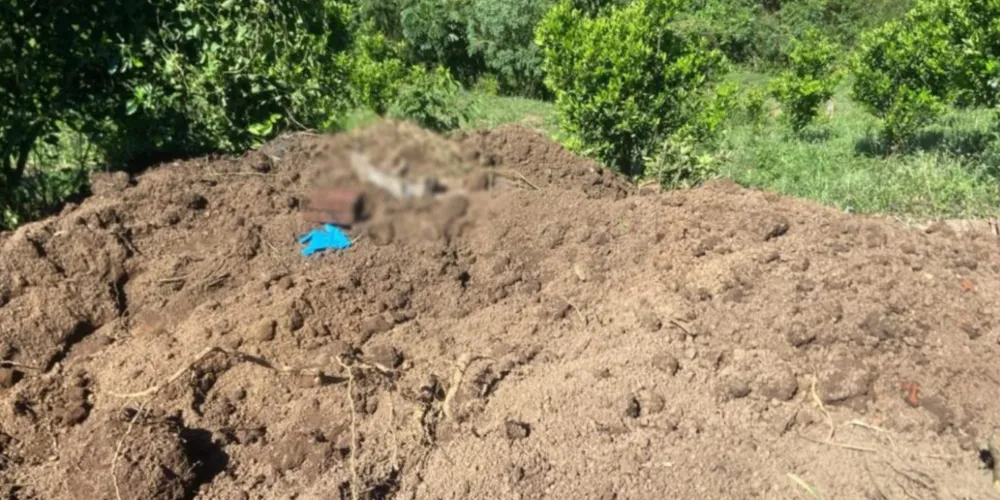 Delegado afirmou que local onde corpo de Fernanda pode ter sido deixado é uma antiga plantação de mandioca, perto da casa onde o casal morava
