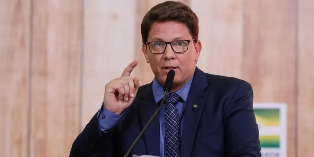 O deputado federal Mario Frias