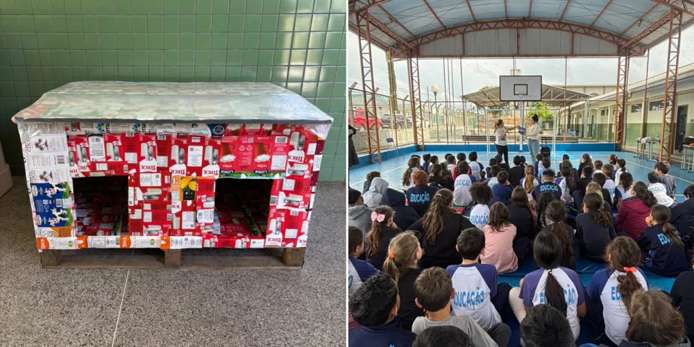 Proposta de projeto envolve alunos, professores, equipe gestora e a comunidade escolar