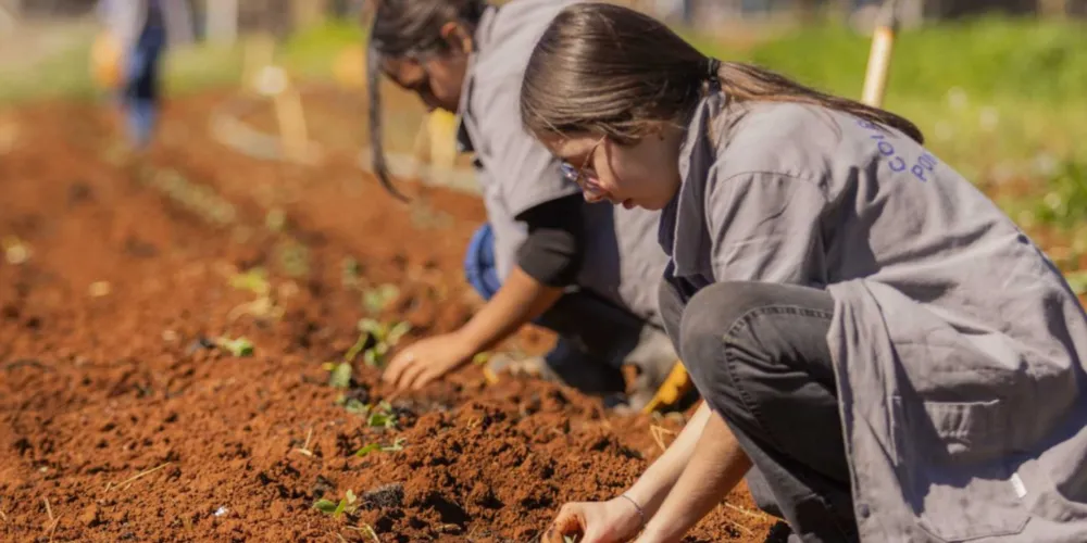 Os estudantes selecionados garantiram vaga no Curso Técnico em Agropecuária Integrado ao Ensino Médio