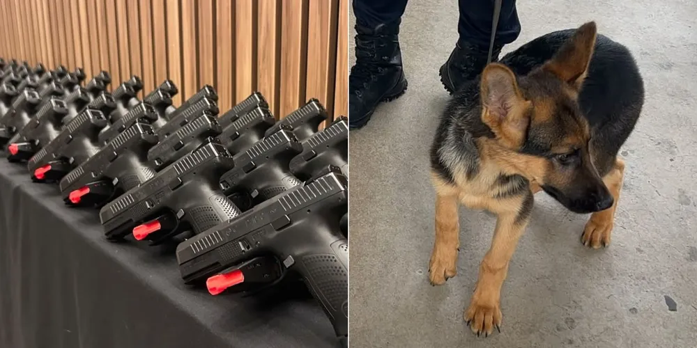 Novas armas e novos cães para a GCM de Ponta Grossa