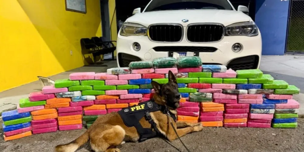 A droga estava escondida em compartimentos ocultos no assoalho de um carro