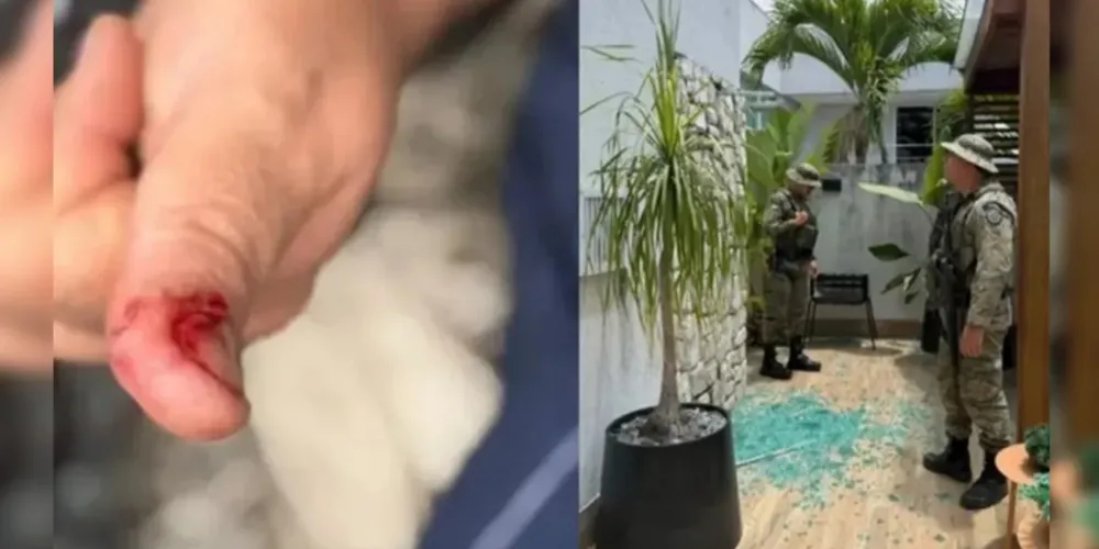 Policial militar foi mordido ao tentar conter o animal