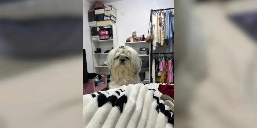 Stella está desaparecida desde o início da tarde dessa quinta-feira (24)