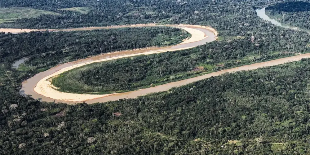 Fundo Florestas Tropicais foi lançado na COP30, em Belém
