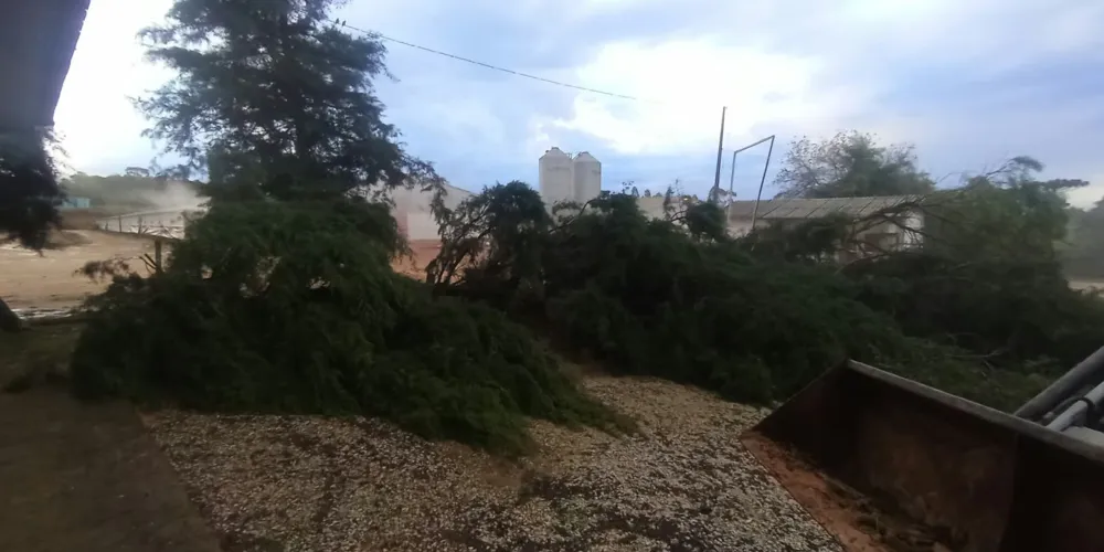 Região do Fundão registra estragos após evento climático adverso