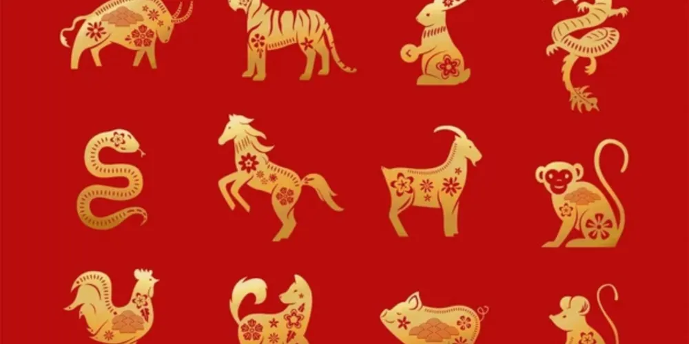 Segundo a previsão do site Your Tango, Rato, Serpente, Cão e Coelho entram em um momento favorável