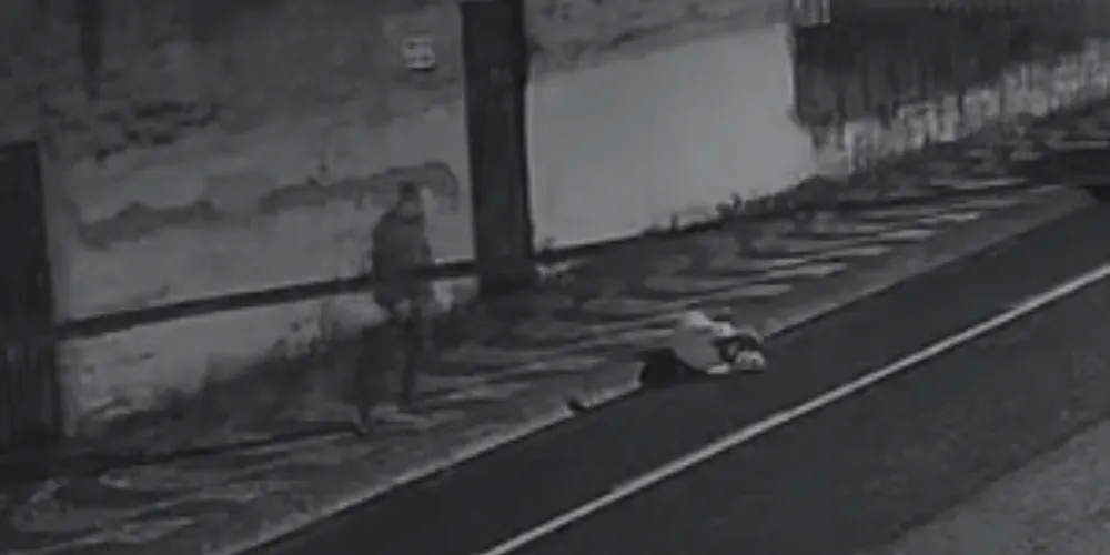 Segundo relatos, a mulher permaneceu aparentemente desacordada por alguns instantes