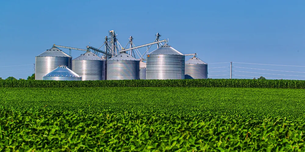 Queda na produção de insumos e máquinas agrícolas pressionou o desempenho do setor agroindustrial