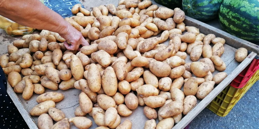 Entressafra e menor oferta de batata contribuíram para a alta dos preços no varejo paranaense em setembro