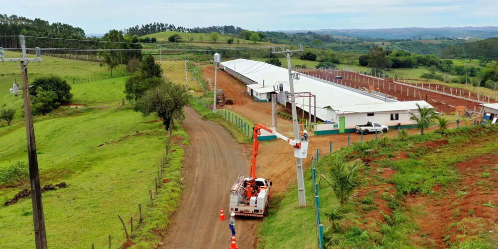 As equipes da Copel substituíram 2.061 postes, seis torres de alta tensão e 113 quilômetros de cabeamento rompido