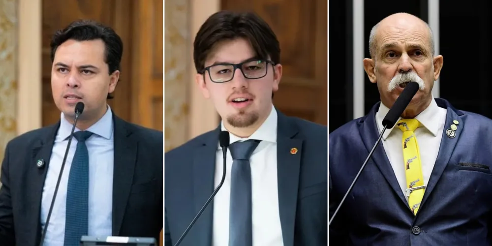 Jeffrey Chiquini (Novo), Guilherme Kilter (Novo) e Sargento Fahur (PL) foram os 3 mais votados