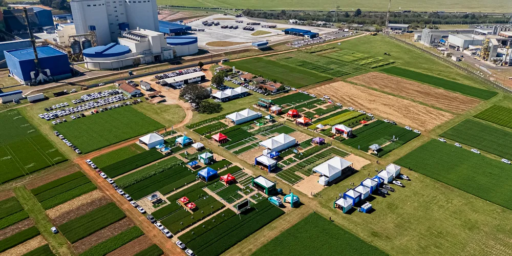 Evento acontece das 8h às 17h, no Campo Experimental da Fundação ABC, no CDE Ponta Grossa