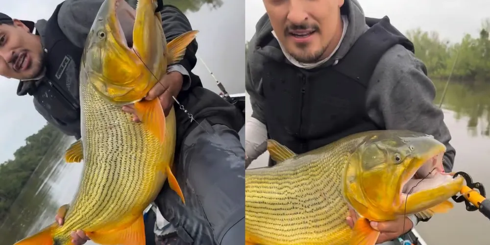 Após as fotografias e o vídeo, o dourado foi devolvido ao Rio Iguaçu