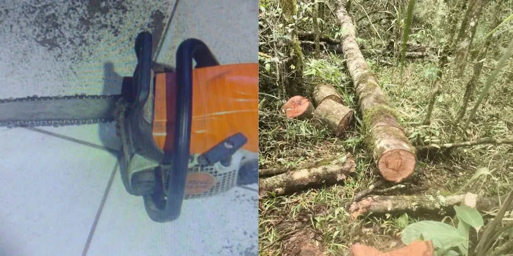 As infrações somam R$ 1,3 mil