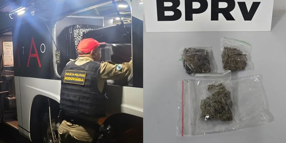 Os passageiros foram questionados sobre o material, mas, segundo a polícia, nenhum deles assumiu a propriedade