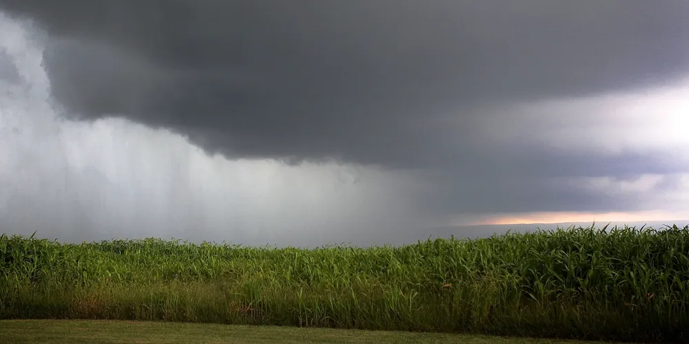 El Niño preocupa o campo após mais de 450 ocorrências de eventos climáticos no Paraná