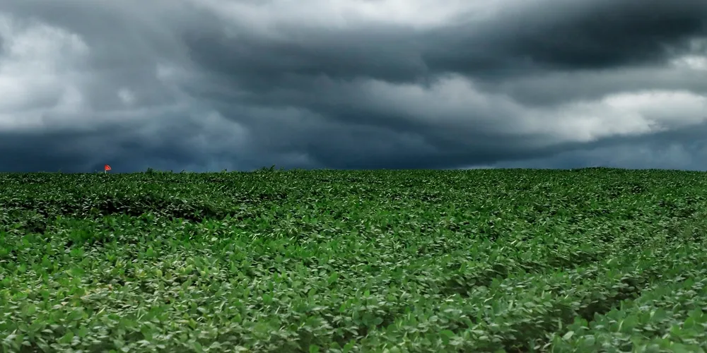 Acumulado de chuvas e as tempestades que atingiram o Paraná entre os dias 8 e 14 de setembro trouxeram sérios transtornos operacionais e agronômicos para o setor agropecuário estadual