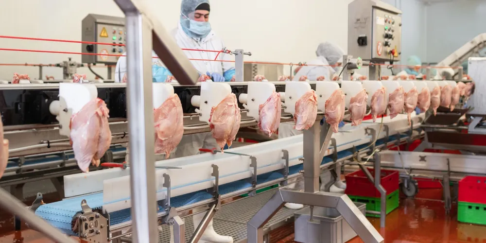 Estado lidera as exportações nacionais do produto