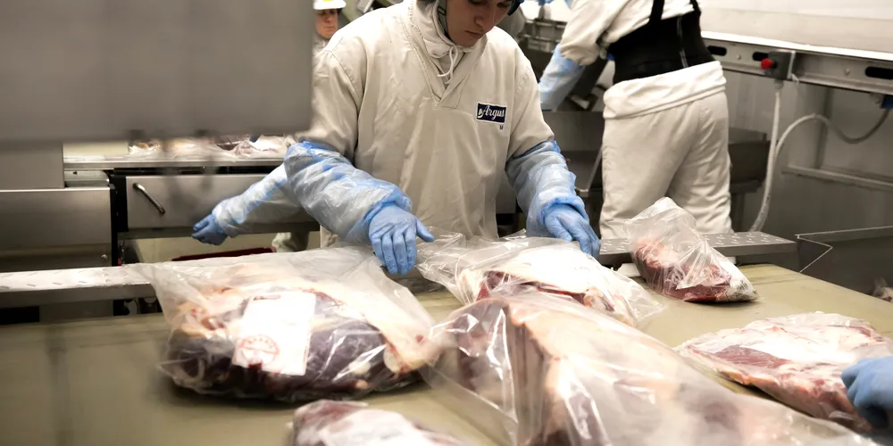 Fabricação de produtos alimentícios, com 537 vagas, foi o que mais abriu postos de trabalho na indústria de transformação em agosto