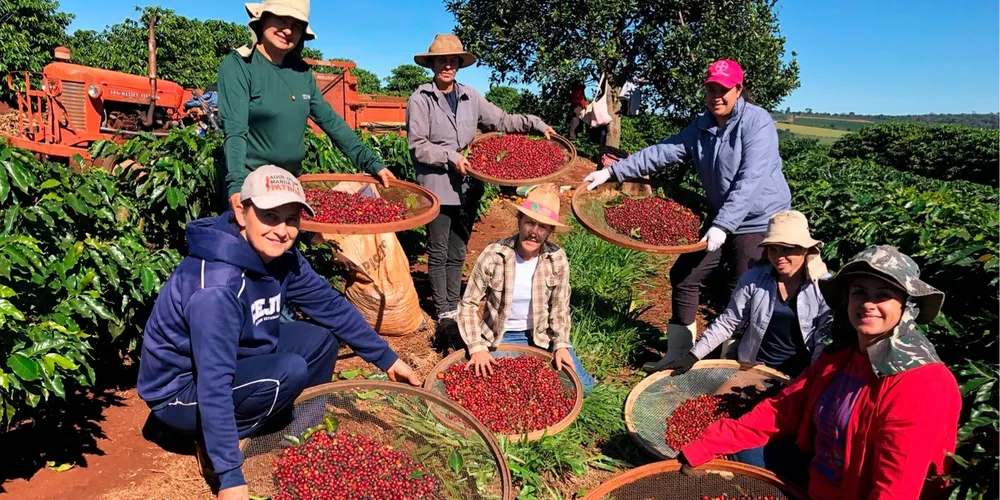 Feira da Agroindústria Familiar reúne produtores e valoriza protagonismo das mulheres rurais no Paraná