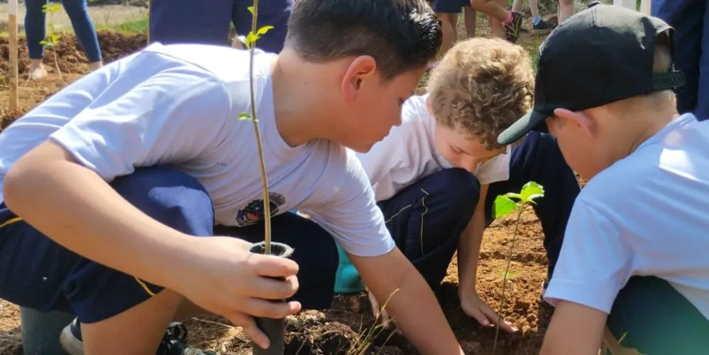 O programa Paraná Mais Verde incentiva o plantio de mudas de espécies nativas do Paraná