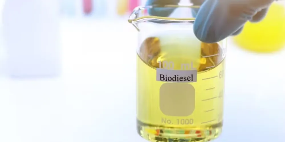 Aumento da demanda por óleo de soja para biodiesel direcionou o crescimento da capacidade industrial do setor