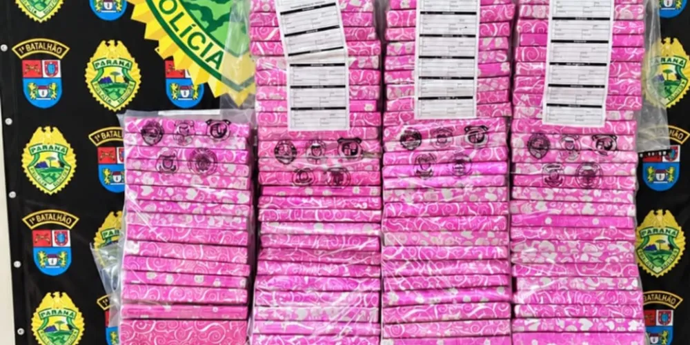 Os 73,92 kg de maconha foram encaminhados 4ª Central Regional de Flagrantes