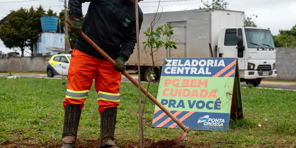 Os plantios integram uma política de arborização que busca combinar ampliação das áreas verdes, escolha adequada das espécies, recuperação ambiental e planejamento do manejo das árvores