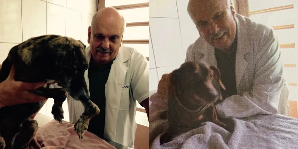 O veterinário Carlos Roberto de Assis, de Curitiba, morreu nesta quarta-feira (23) após batalha contra o câncer