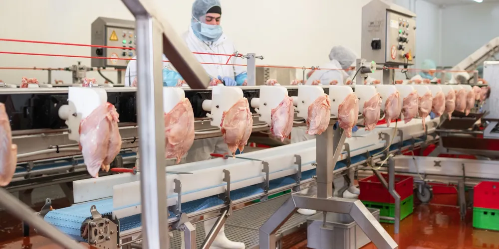 Produção de carne de frango no Paraná alcançou 2,688 milhões de toneladas no primeiro semestre de 2026