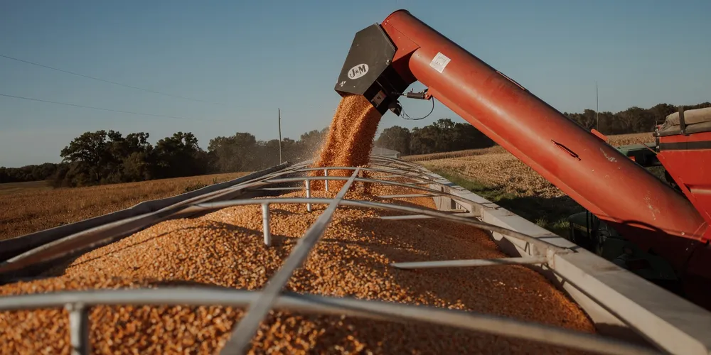 Área cultivada no Paraná deve crescer 1,1%, enquanto a produção tem estimativa de alta de 0,2%