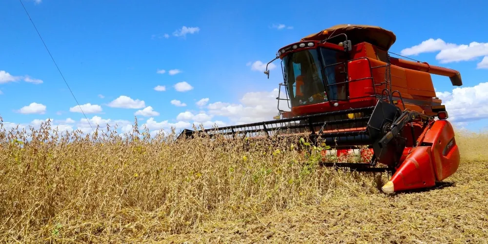 Paraná é o segundo estado que mais gerou valor no Brasil em 2025 no grupo de cereais, leguminosas e oleaginosas