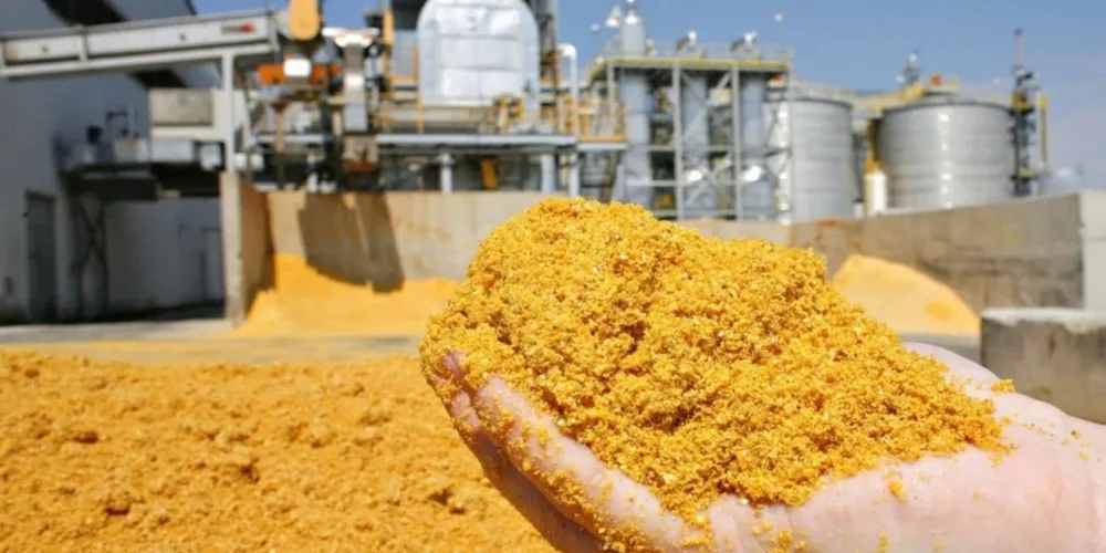 Avanço do mercado de DDG amplia o aproveitamento do milho e impulsiona a rentabilidade das biorrefinarias no Brasil