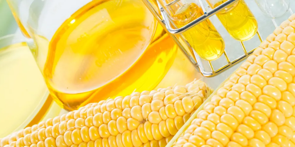 Volume representa crescimento de 14,6% sobre quantidade produzida no ciclo 2025/26