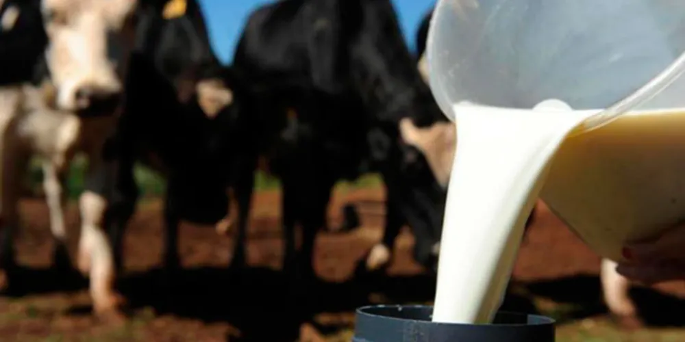 Leite responde por 77,5% do valor da produção de origem animal do Paraná