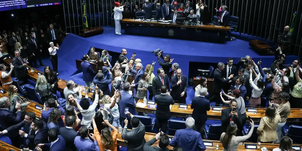 Plenário do Senado Federal em comemoração após decisão