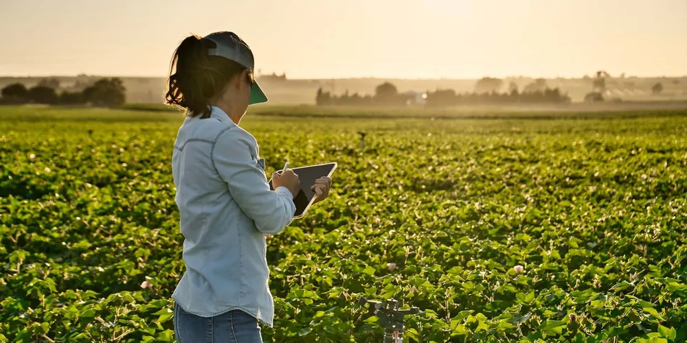 Sistema FAEP alerta para impactos operacionais e financeiros da PEC no agronegócio