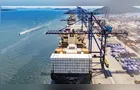 Veto da UE pode causar impacto de US$ 392 milhões por ano na pecuária do PR