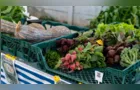 Prefeitura cadastra entidades que atuam na segurança alimentar em PG
