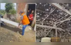 Mais de 40 residências ficam danificadas após chuva de granizo em Palmeira