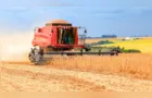 Valor de produção agrícola atinge recorde de R$ 927,2 bilhões