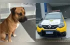 Cachorro é morto a tiros por PM em frente a hospital em Colombo