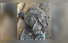 Polícia Civil prende 3 suspeitos por corpos encontrados dentro de sacos