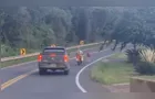 Cavalinho solto em rua quase causa acidente em Ponta Grossa