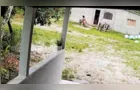 Homem suspeito de matar esposa e enteada grávida morre em cela no interior