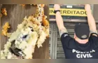 Dona de loja é presa após cliente encontrar rato morto dentro de bolo no RS